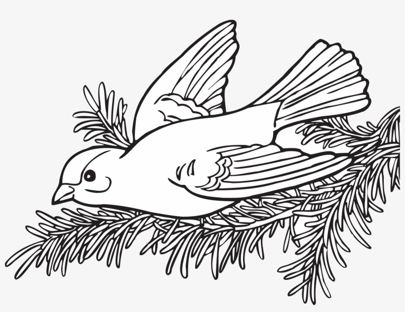 This Free Icons Png Design Of Coloring Book Willow, transparent png download