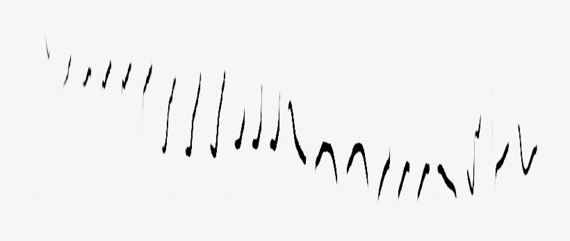 Willow Warbler Sonogram - Sonogram Birdsong, transparent png download