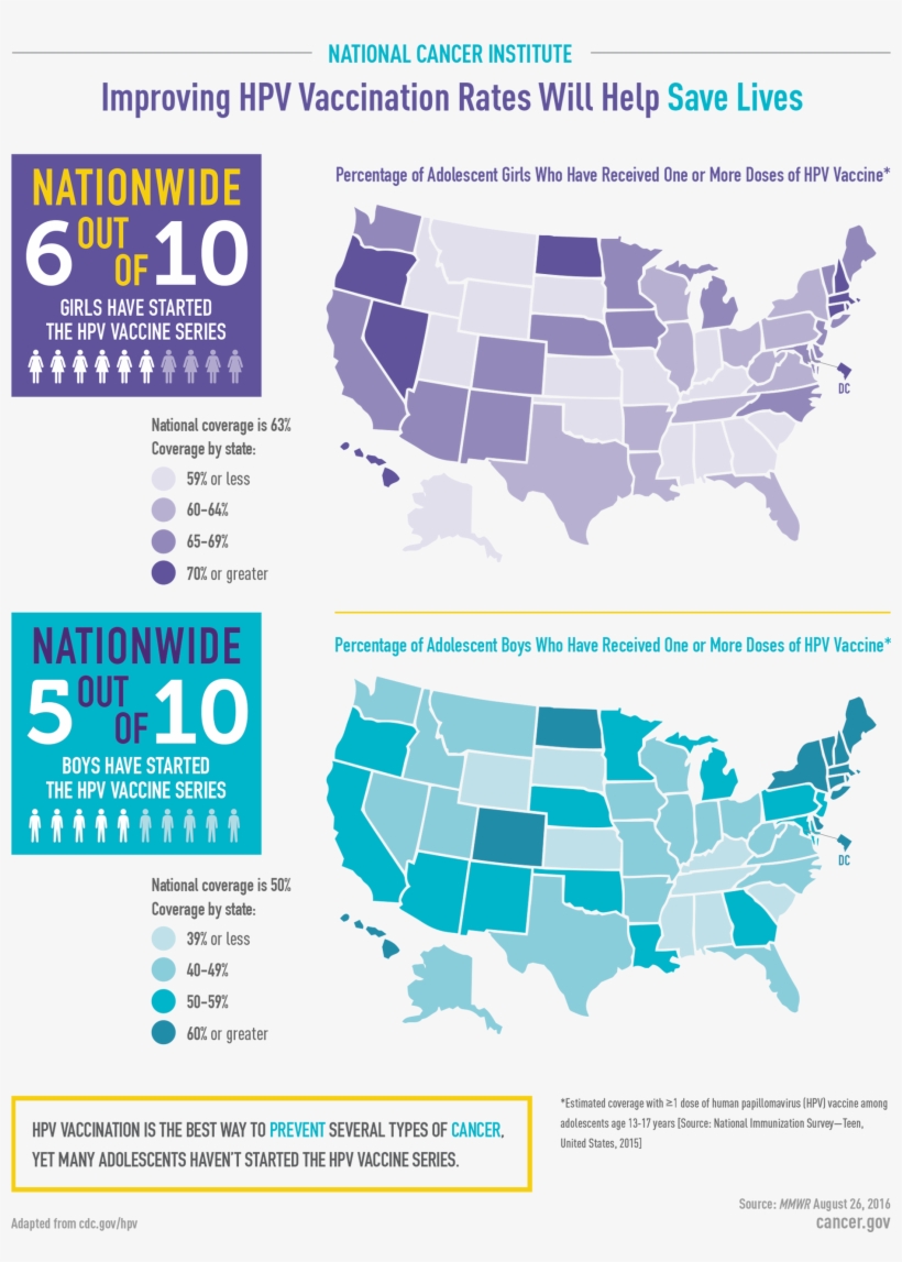 Hpv Vaccine Uptake Info Graphic - Casabella West Coast Butter Keep 'n Slice, transparent png download