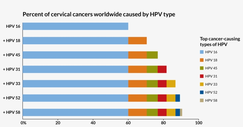 Hpv Graph - Human Papillomavirus Infection, transparent png download