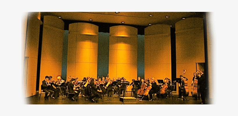 Bluewater Chamber Orchestra On Stage - Blue Water Chamber Orchestra, transparent png download