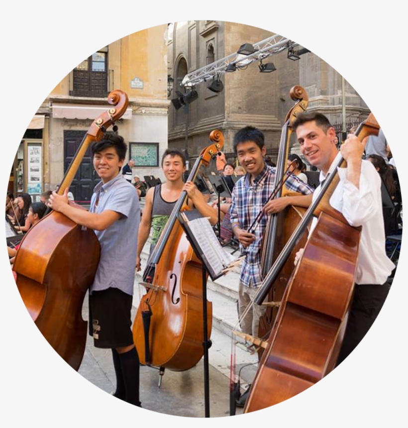 College/university Orchestras - Double Bass, transparent png download