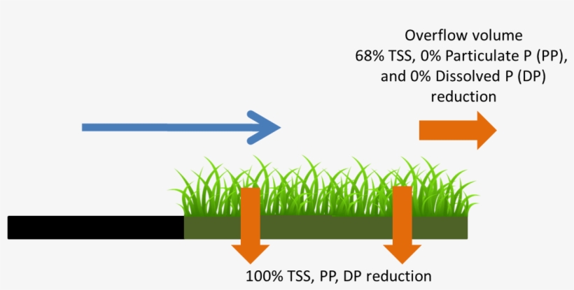 Schematic Showing Pollutant Load Reduction For Infiltrated - Grass, transparent png download