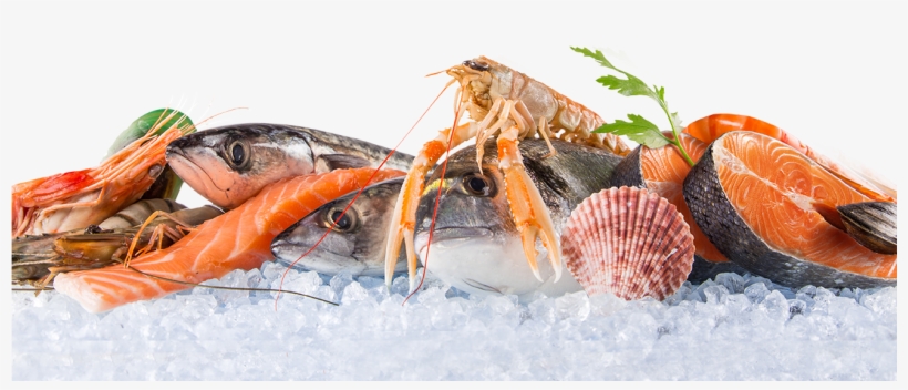 Seafood Images Png, transparent png download