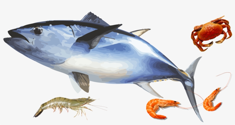 Products From Across The Oceans, transparent png download