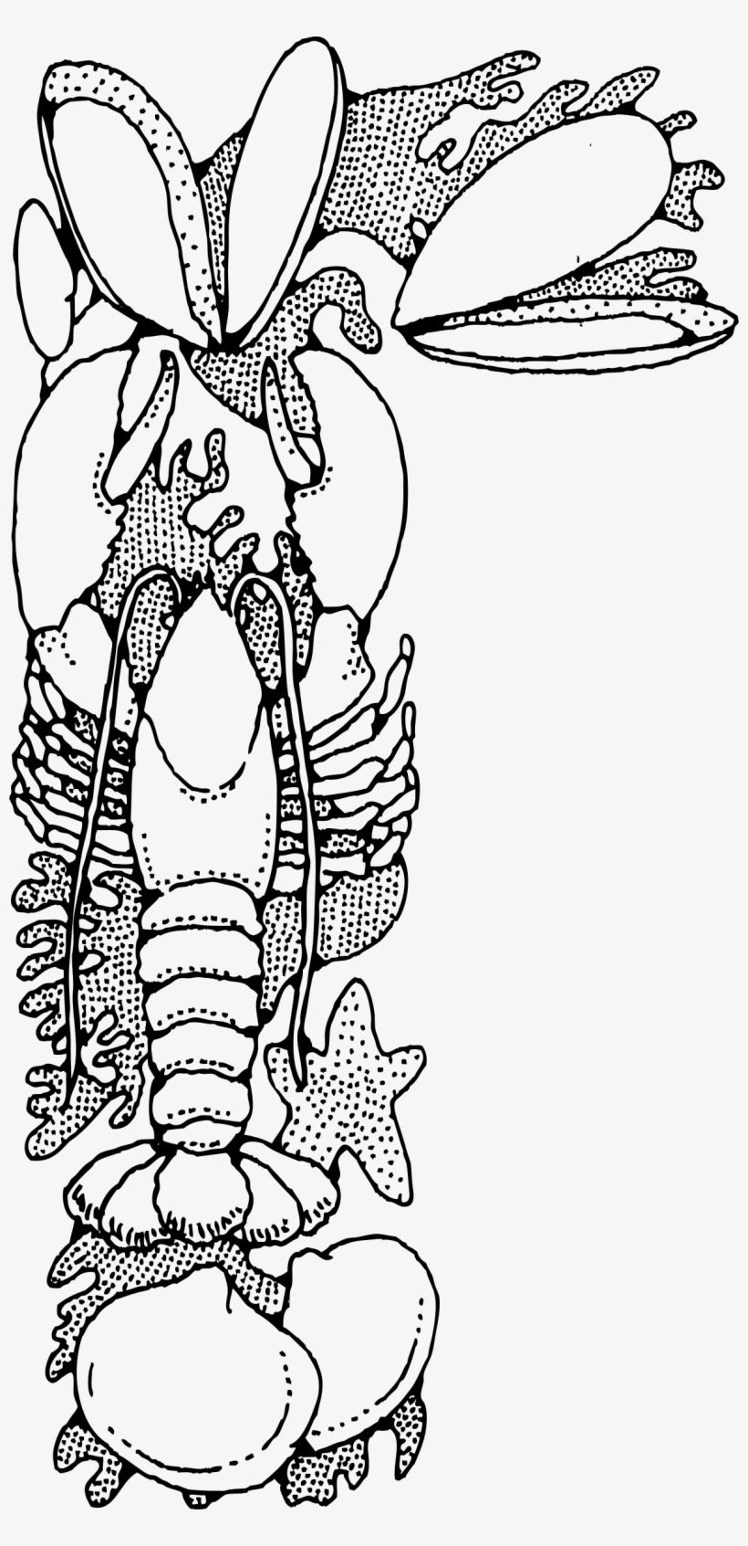 Seafood Png, transparent png download
