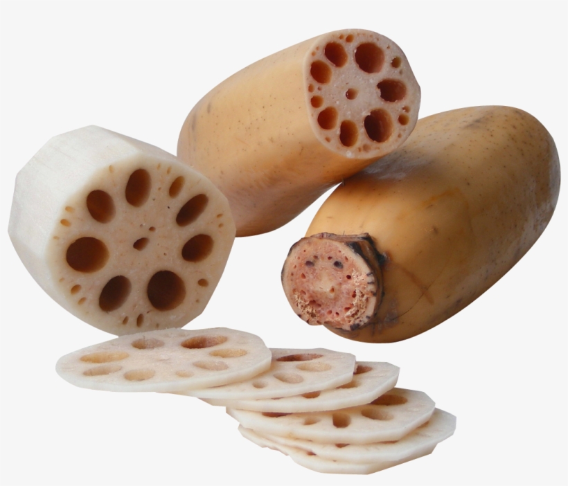 Lotus Root Png, transparent png download