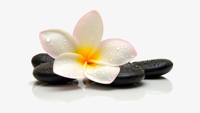 Welcome To Traditional Thai Massage Centre Where You - Thai Massage Png, transparent png download