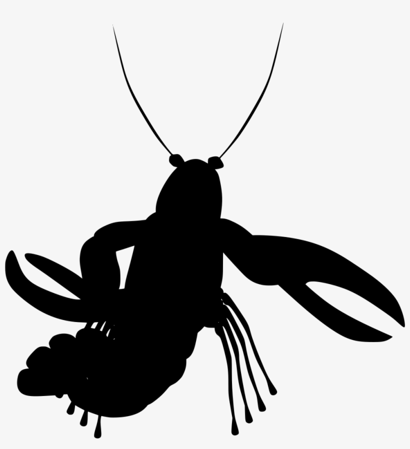 Download Png - Langostas Dibujo Png, transparent png download