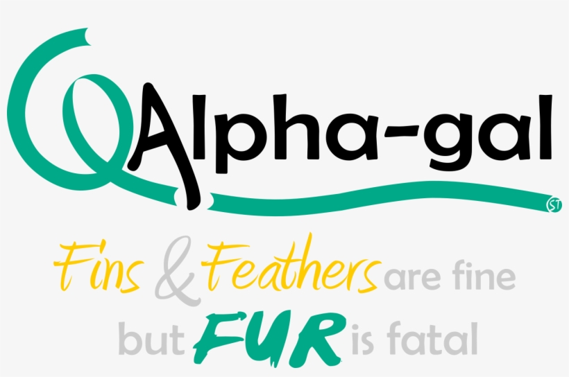 Png Digital File - Portable Network Graphics, transparent png download