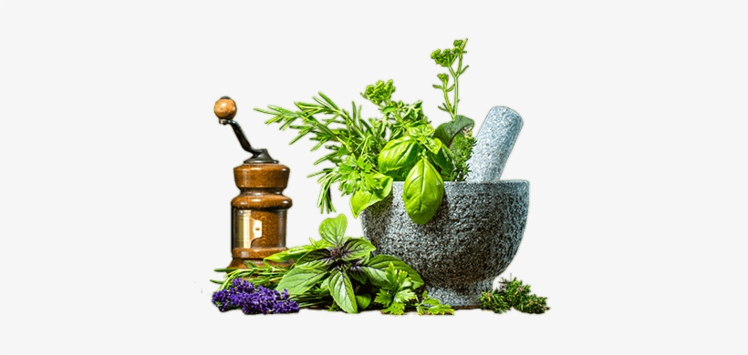 The Body Is The Temple And Our Soul Is The Spirit - Ayurvedic Products Png, transparent png download