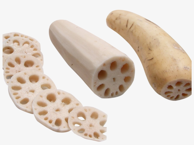 Lotus Root Png Image - Portable Network Graphics, transparent png download