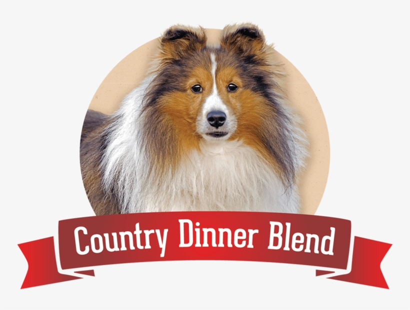 Dry Dog Food - Dog Food, transparent png download