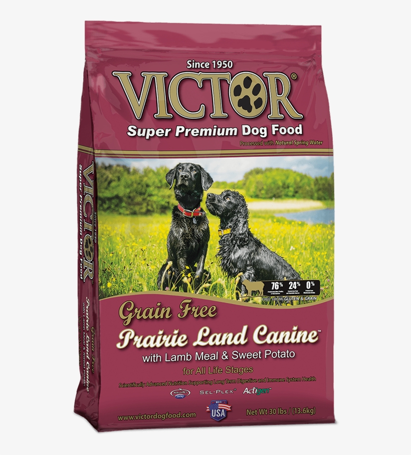 Grain Free Prairie Land Canine Dog Food - Victor Grain Free Dog Food, transparent png download