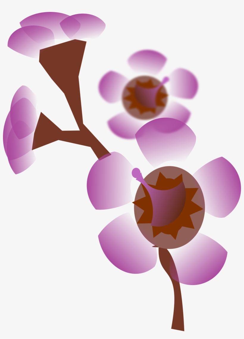 Big Image - ดอกไม้ กราฟฟิก สีชมพู, transparent png download