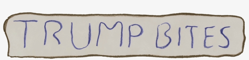 Donald Trump, transparent png download