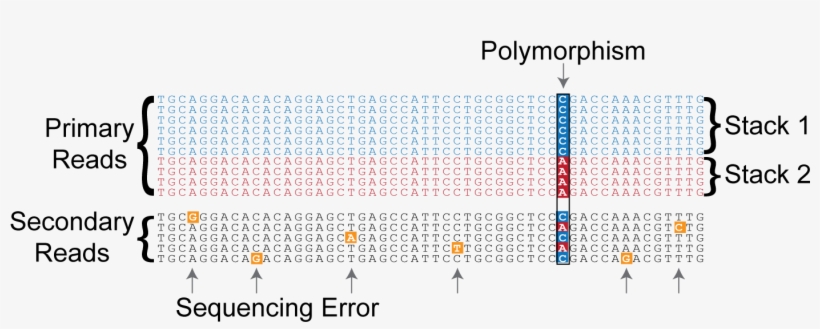 Locus - Number, transparent png download
