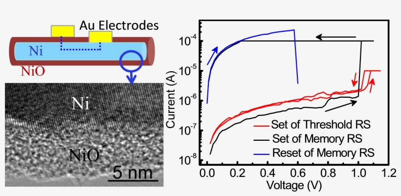 We Report On The First Controlled Alternation Between, transparent png download