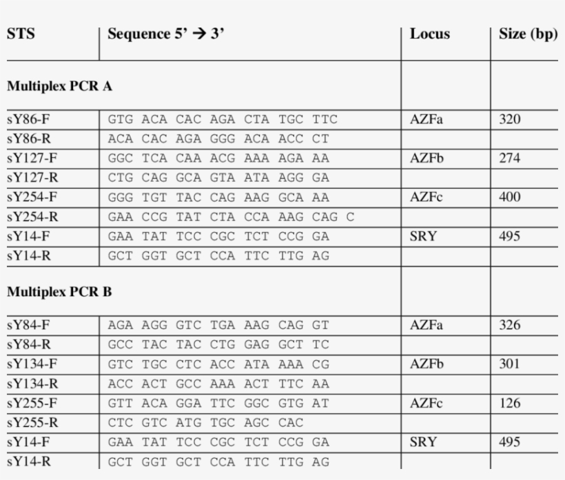 Primer Sequence Of The Sequence Tagged Sites Used In - Primer, transparent png download