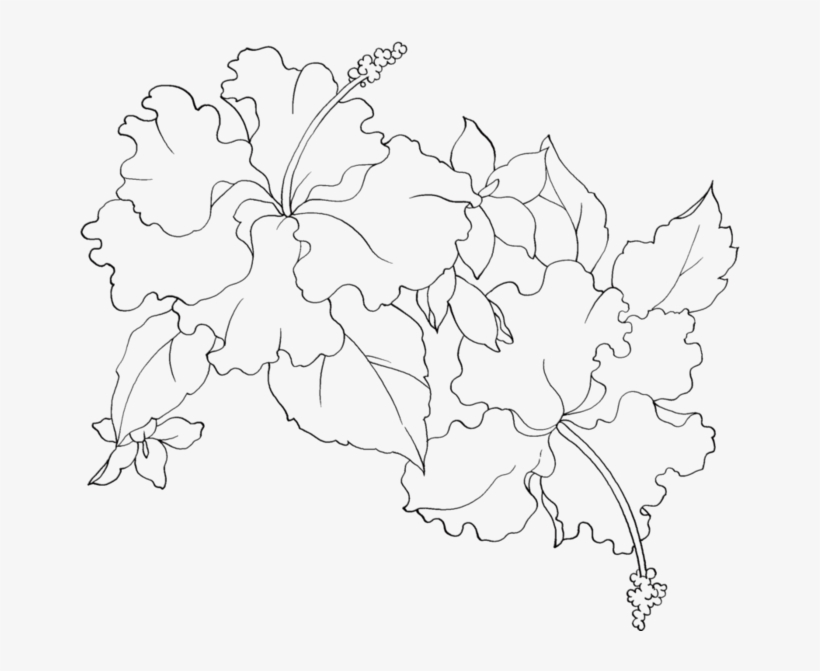 Эскизы Витражей Схемы - Flower Pattern, transparent png download