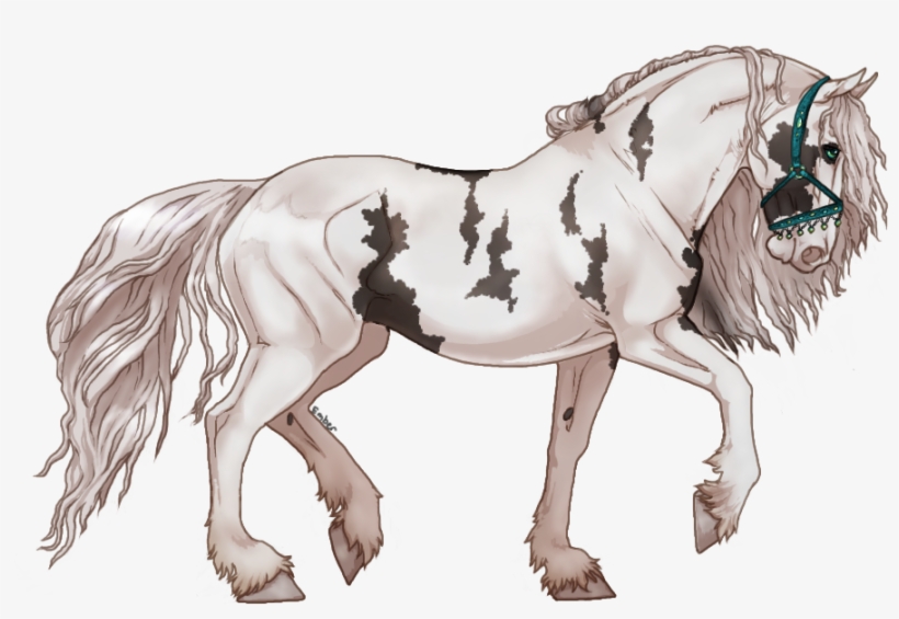 Picture - Friesian, transparent png download