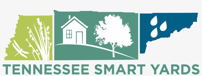 Logo Final - Jpeg, transparent png download