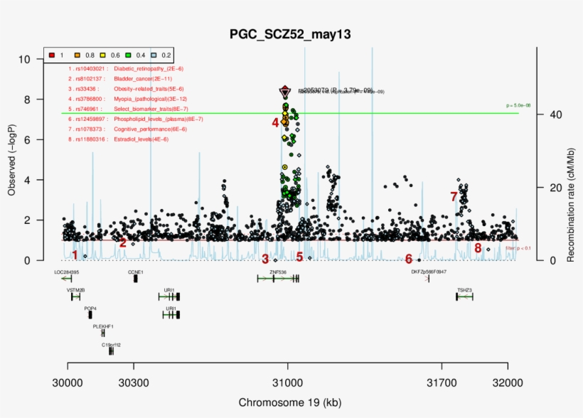 Locus Rank - Diagram, transparent png download