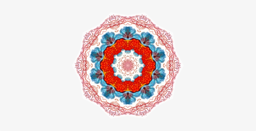 Chakra Computer Icons Sahasrara - Ernst Haeckel Discomedusa Jellyfish 100 Page Lined, transparent png download