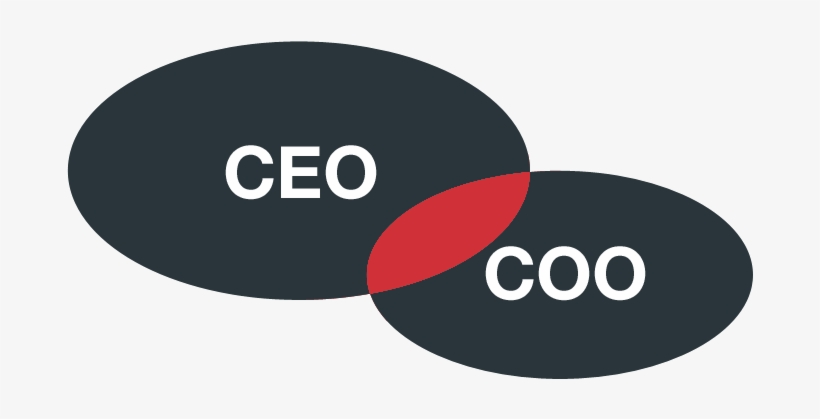 The Difference Between A Ceo And A Coo - Ceo Coo, transparent png download