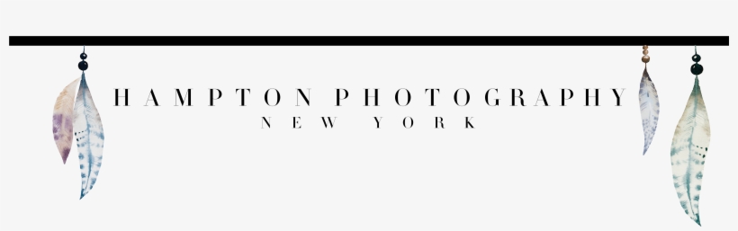 Hampton Photography Feather Logo - Spoonbill, transparent png download