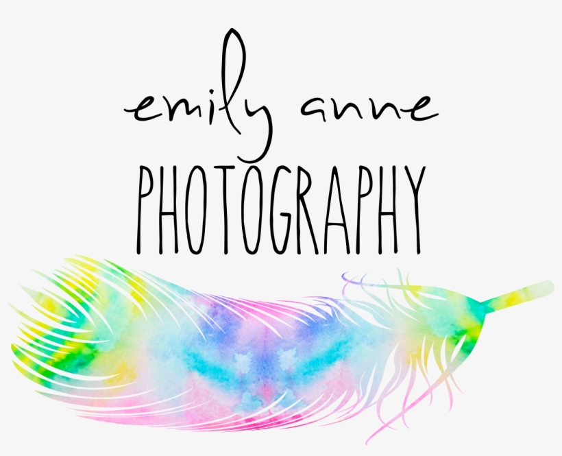 Feather Logo Black - Party Hat, transparent png download