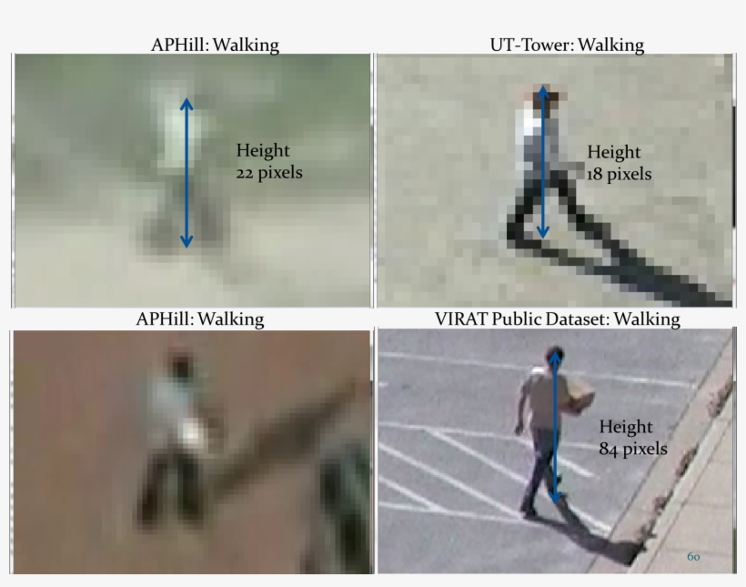 Comp Vpd Aphill Ut1 - Darpa Virat, transparent png download