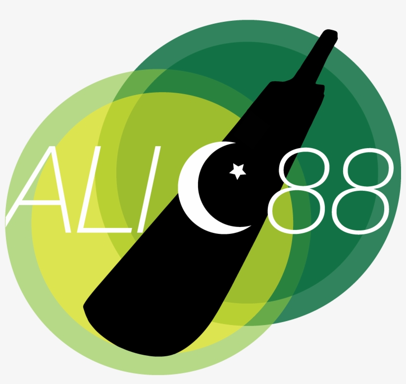 Alic88 - Shahid Afridi, transparent png download