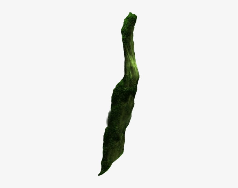 Parallax Branch Back - Silhouette, transparent png download