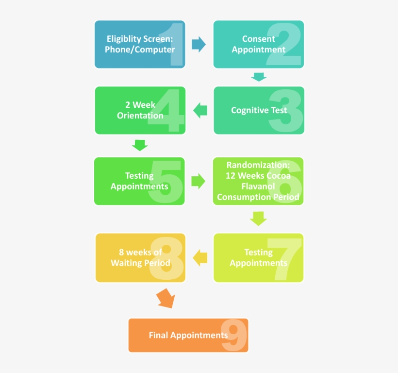 Flowchart5 - Orange, transparent png download