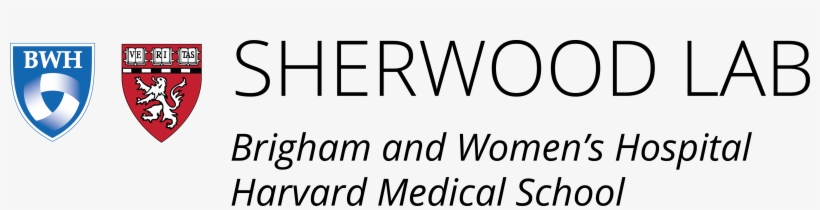 Sherwood Laboratory - Brigham And Women's Hospital, transparent png download