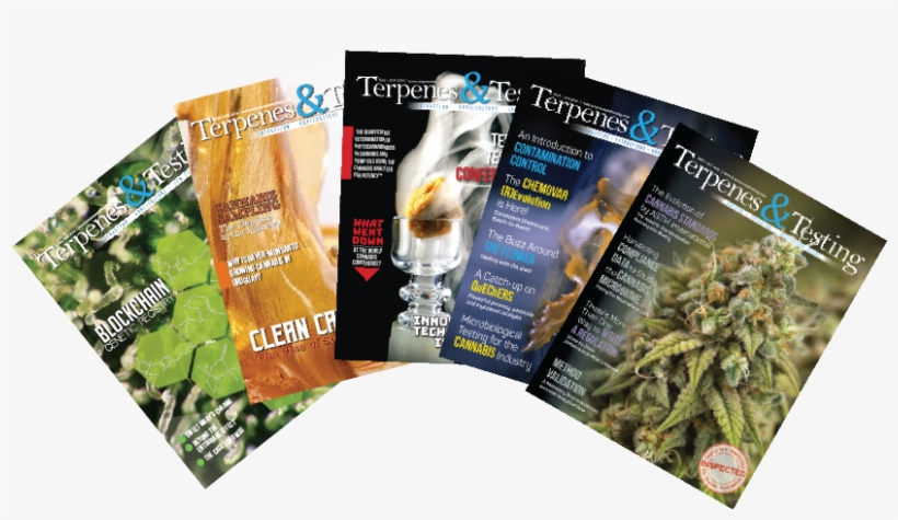 Bundle Pack - Flyer, transparent png download