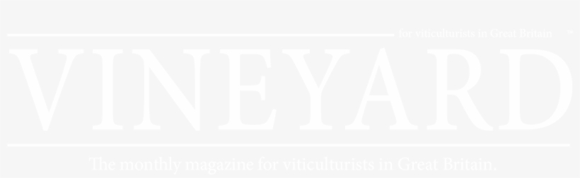 Cinema Choral Classics Iii, transparent png download