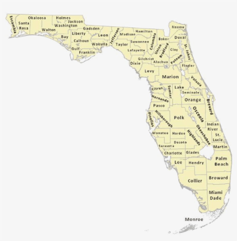Map Of Florida In French, transparent png download