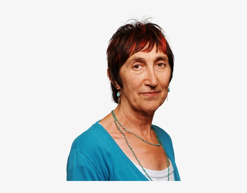 School Of Life Teaching Is On The Road To Hell The - Frequently Holy Cross Lessay, transparent png download