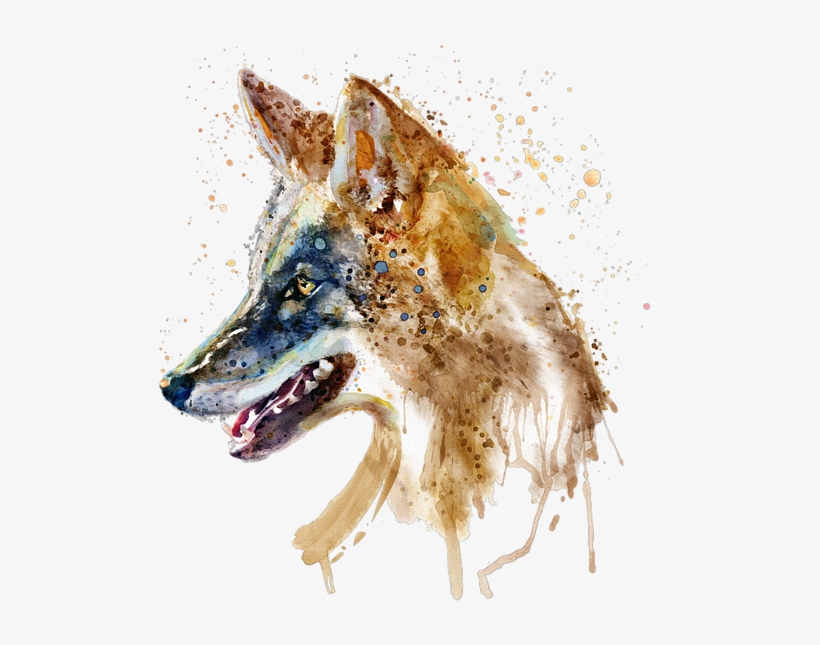 Click And Drag To Re-position The Image, If Desired - Coyote Black And White, transparent png download