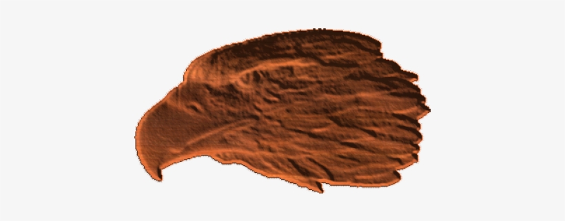 Eagle, transparent png download