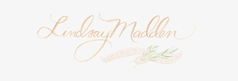 Lindsay Madden Photography - Photographer, transparent png download