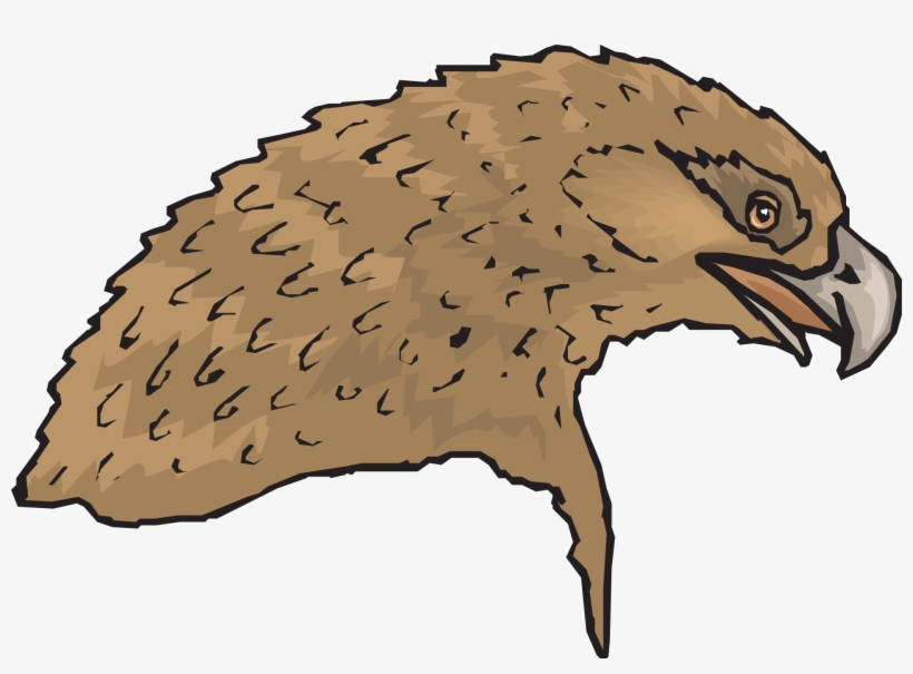 Painted Eagle Head - Bird, transparent png download