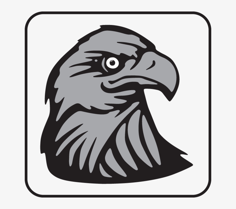 Eagle's Head - Bald Eagle Symbol Shower Curtain, transparent png download