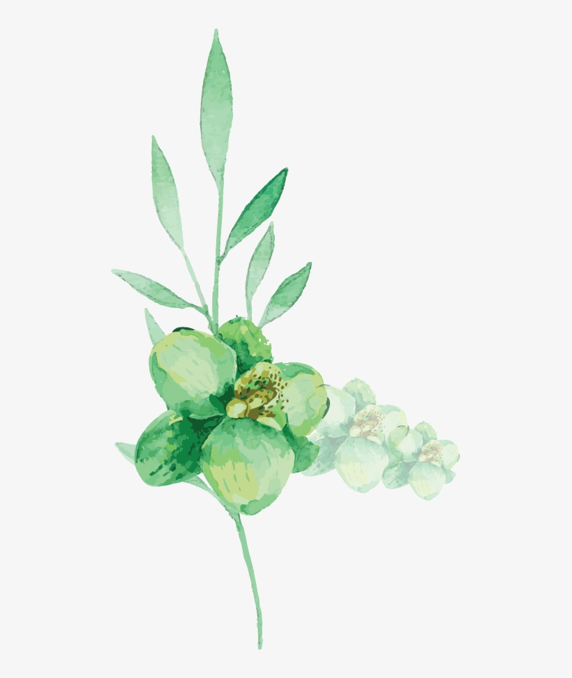 1081 Old Princes Highway - Liebe-lorbeer-blatt-grünwatercolor Verlässt 8 Papierteller, transparent png download