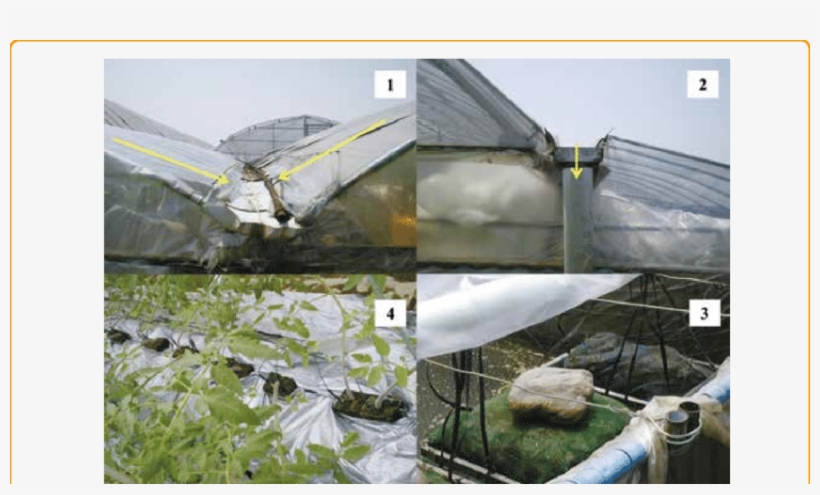 Rwh Using Rooftop Of Green House For Catchment Area - Roof, transparent png download