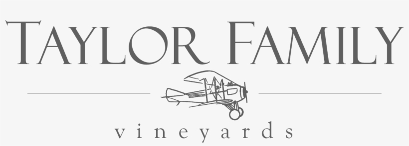 Taylor Family Vineyards - Jay-z - The Hits Collection Volume 1 (music Cd), transparent png download