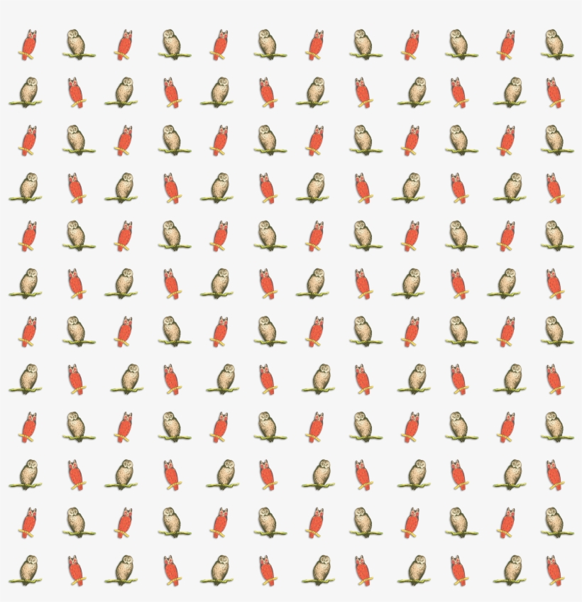 Vintage Owls Overlay - Circulatory System, transparent png download