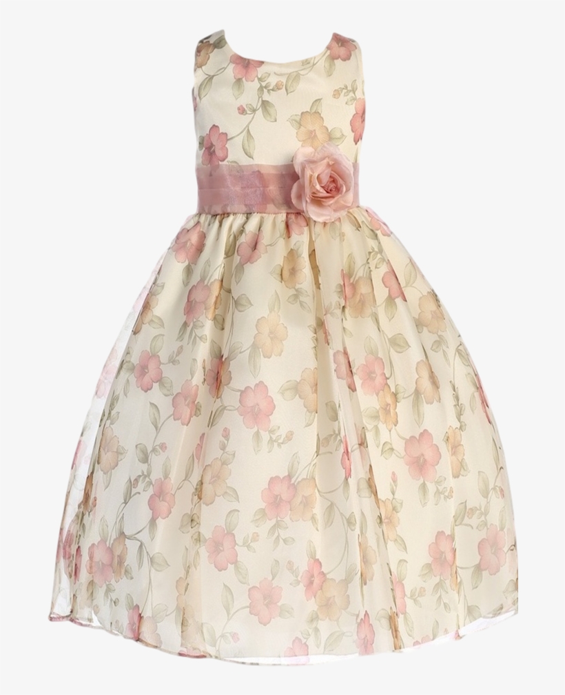 Vintage Rose Pink Floral Print Organza Overlay Girls - Dress, transparent png download